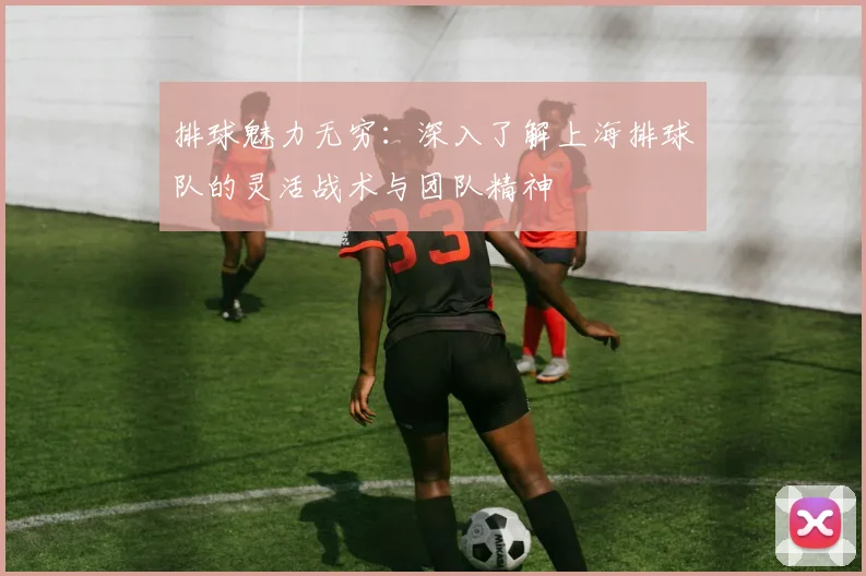 排球魅力无穷：深入了解上海排球队的灵活战术与团队精神