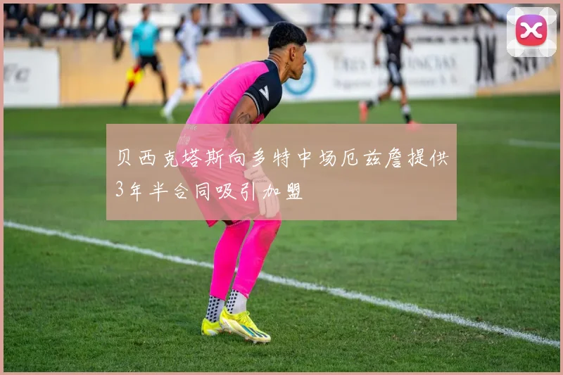 贝西克塔斯向多特中场厄兹詹提供3年半合同吸引加盟