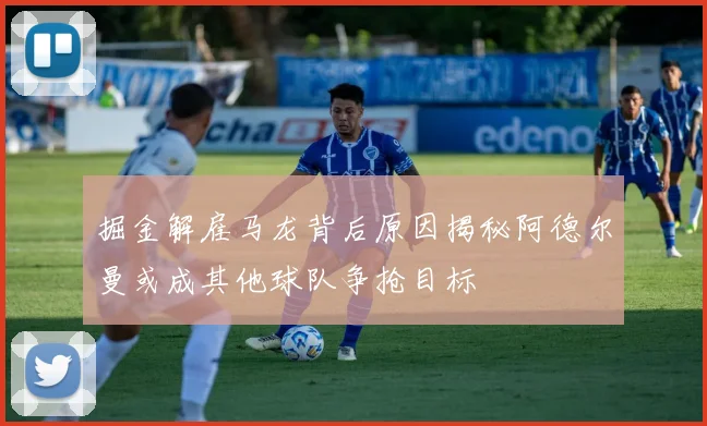 掘金解雇马龙背后原因揭秘阿德尔曼或成其他球队争抢目标