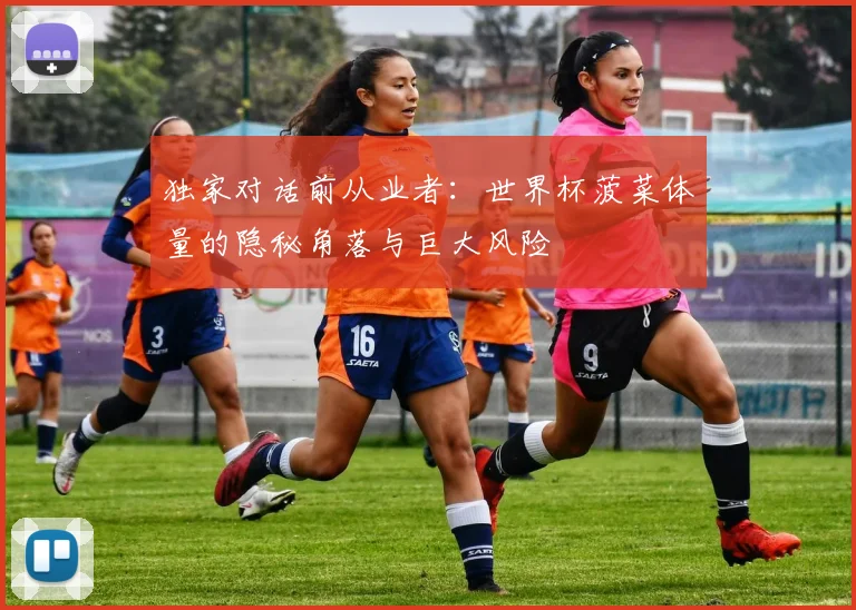 独家对话前从业者：世界杯菠菜体量的隐秘角落与巨大风险